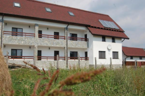 Hotels in Novaci